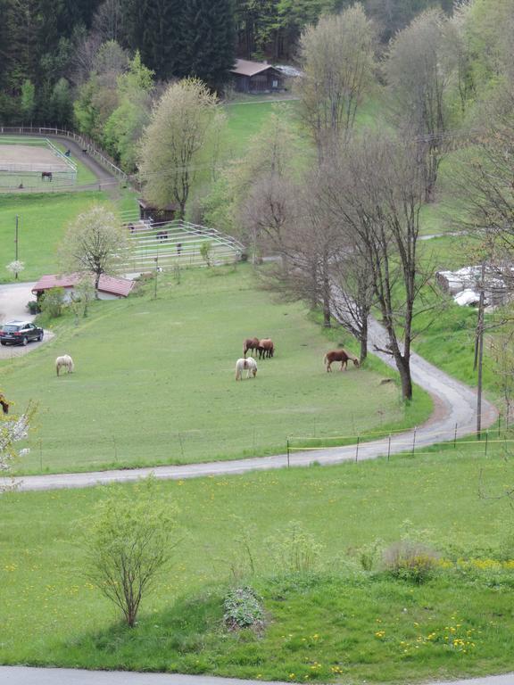 Ferienwohnung Waldoase Am Fuchsenstein شبيغيلاو المظهر الخارجي الصورة