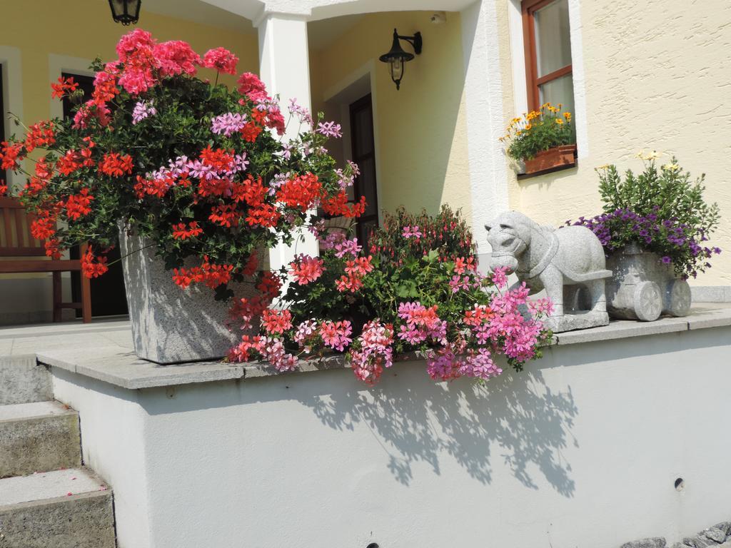 Ferienwohnung Waldoase Am Fuchsenstein شبيغيلاو الغرفة الصورة
