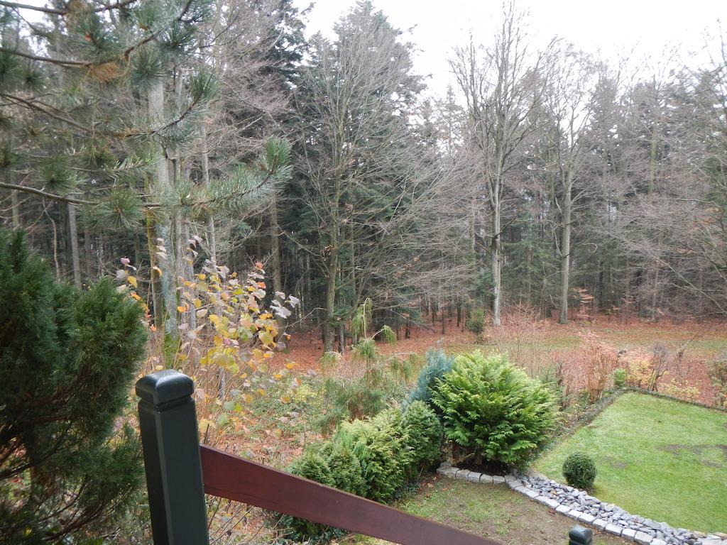Ferienwohnung Waldoase Am Fuchsenstein شبيغيلاو المظهر الخارجي الصورة